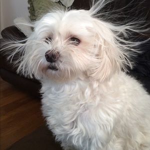 Meet your Posher, Christine